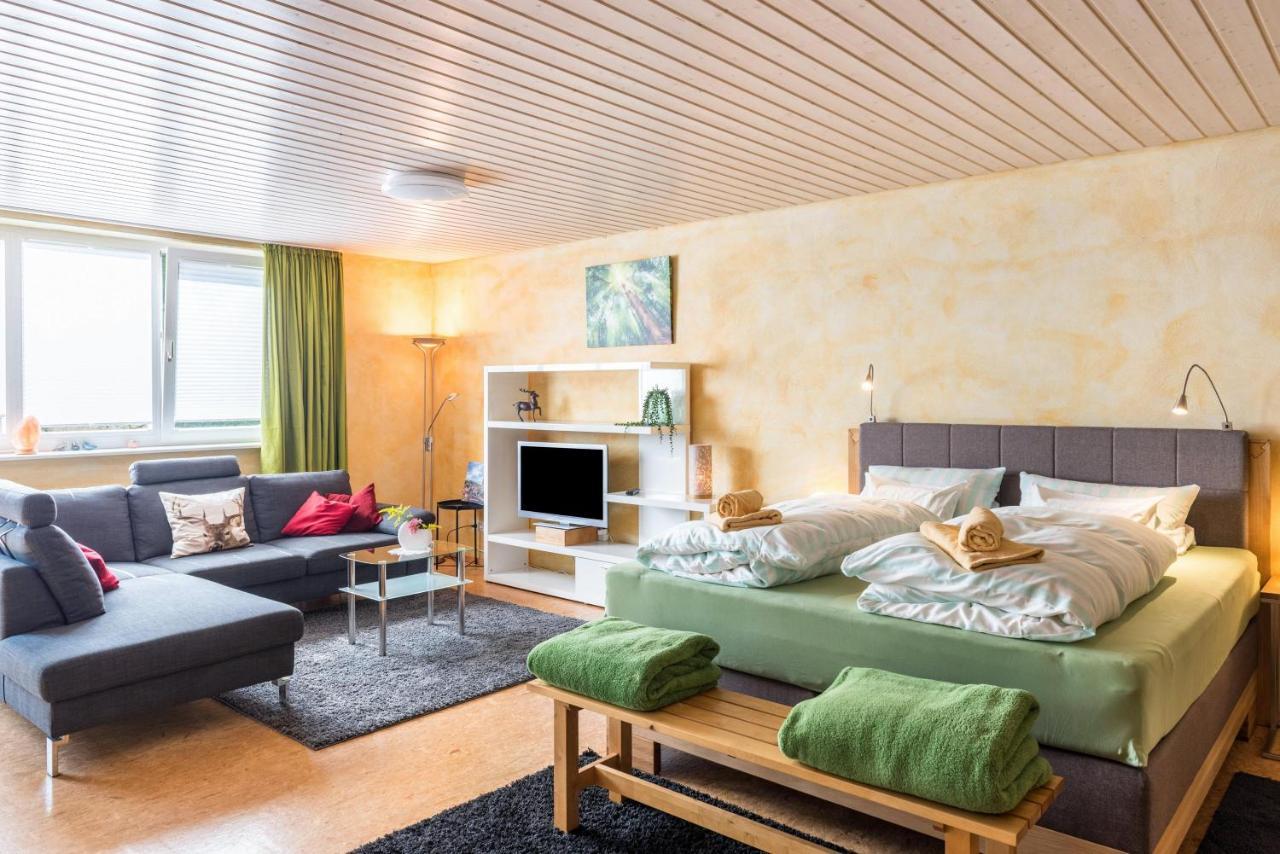 Ferienwohnung Gruenspecht Иберлинген Экстерьер фото